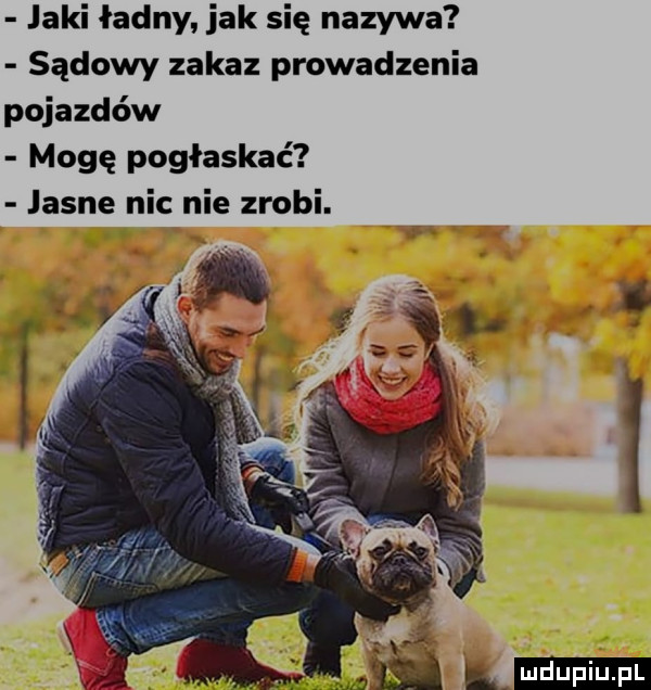 laki ładny jak się nazywa sądowy zakaz prowadzenia pojazdów mogę pogłaskać jasne nic nie zrobi