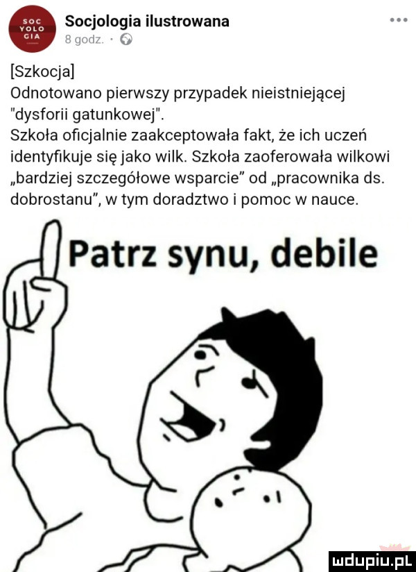 socjologia ilustrowana szkocja odnotowano pierwszy przypadek nieistniejącej dysforii gatunkowej szkoła oficjalnie zaakceptowała fakt ze ich uczeń identyfikuje się jako wilk. szkola zaoferowała wilkowi bardziej szczegolowe wsparcie od pracownika ds. dobrostanu w tym doradztwo i pomoc w nauce. patrz synu debile