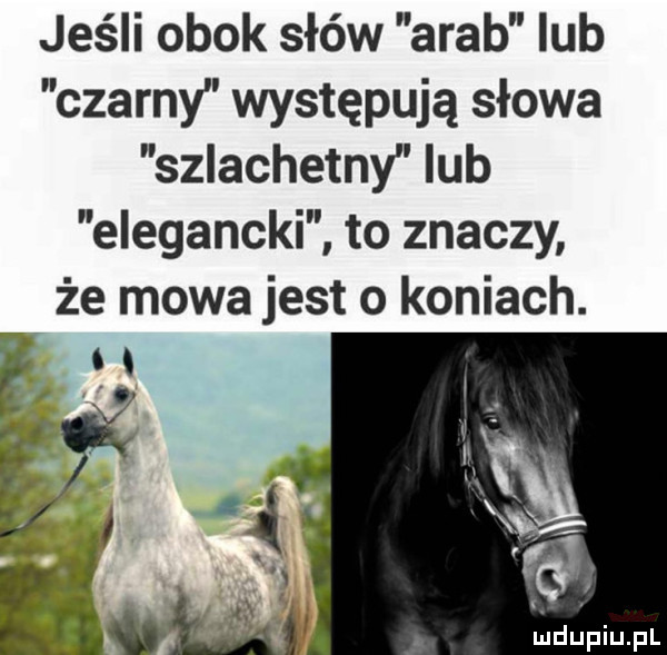 jeśli obok słów arab lub czarny występują słowa szlachetny ub elegancki to znaczy że mowa jest o koniach