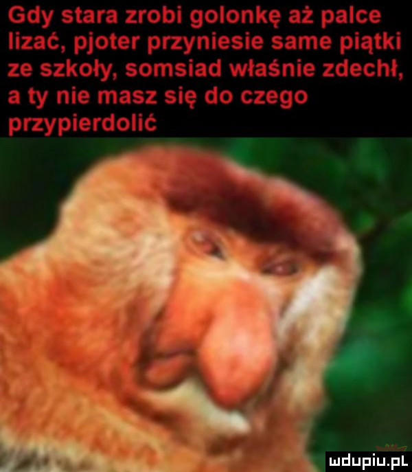 Obrazek