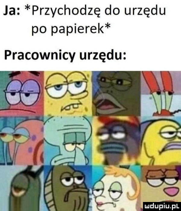 ja przychodzę do urzędu po papierek pracownicy urzędu