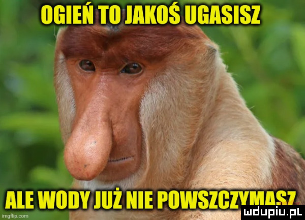 ngliń      ka          uu. ą ale wiiiiy lill hme piiwsibivie iist mnpm n h uplu pl