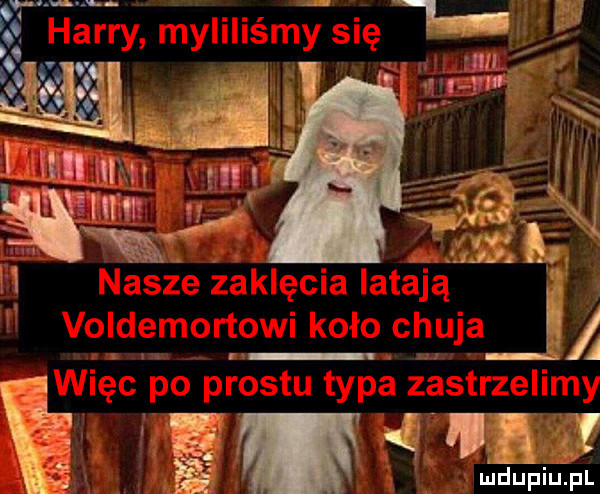 nie i ludupiu. pl
