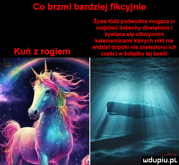 co brzmi bardziej fikcyjnie żywa lódź podwodna mo ca  i rozjebać bebechy diw żywiąca się olbrzym kałamamicami których mel nie. abakankami wldzlai dopóki nie znaleziono ich ku n z reglem części w żołądku w bestii