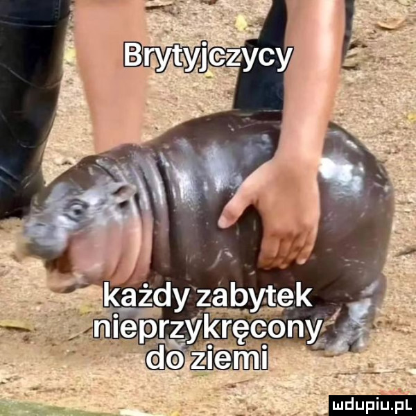 Obrazek