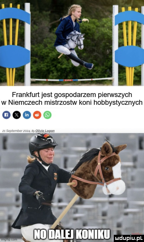 frankfurt jest gospodarzem pierwszych w niemczech mistrzostw koni hobbystycznych