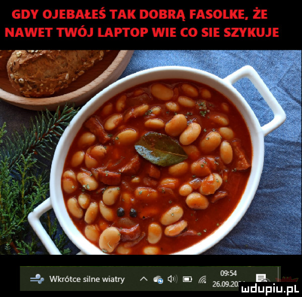 wkrótcesllnewlahy a ą a g ex   mai u lu leu il