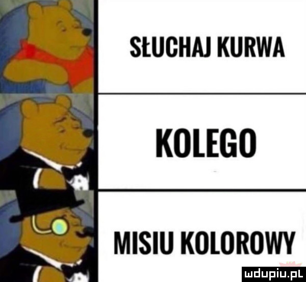 słuchaj kurwa kolego misiu kolorowy ludu iu. l