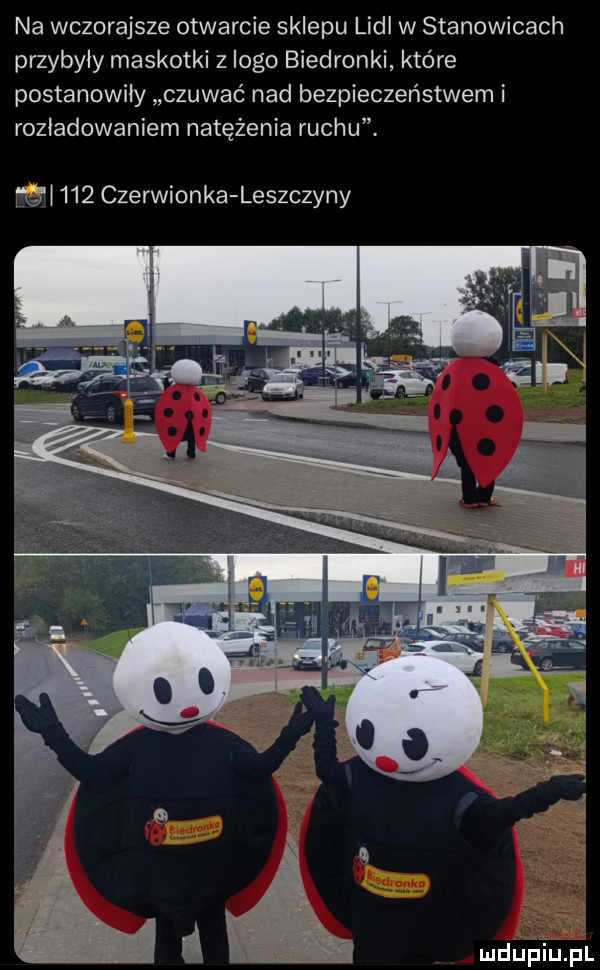 na wczorajsze otwarcie sklepu lidl w stanowicach przybyły maskotki z logo biedronki które postanowiły czuwać nad bezpieczeństwem i rozładowaniem natężenia ruchu. bari     czerwionka leszczyny