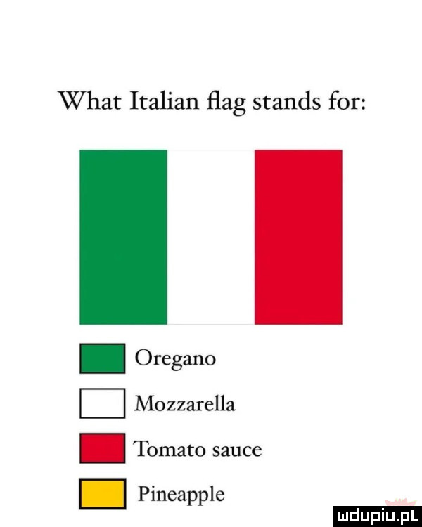 wiat italian ﬂag stands for ludu iu. l