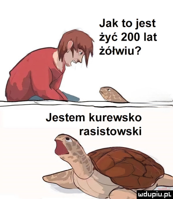 jak to jest żyć     lat żółwiu jestem kurewsko rasistowski