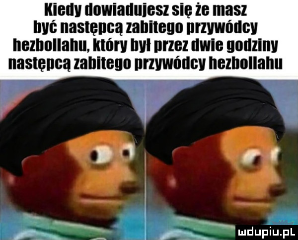 kieuv dowiauuiesz się że masz ici następca lanitegu nrszńucv nelbnllanu który le noez nele unuzlnv następcą lahltegn nrszńucv hezhullahu. i r mduplu pl