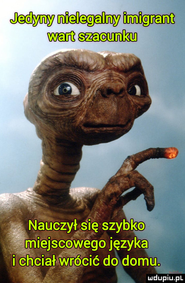 jedyny nielegalny