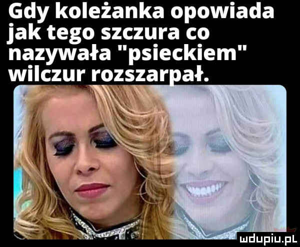 gdy koleżanka opowiada jak tego szczura co nazywała psieckiem wilczurrozszar ał