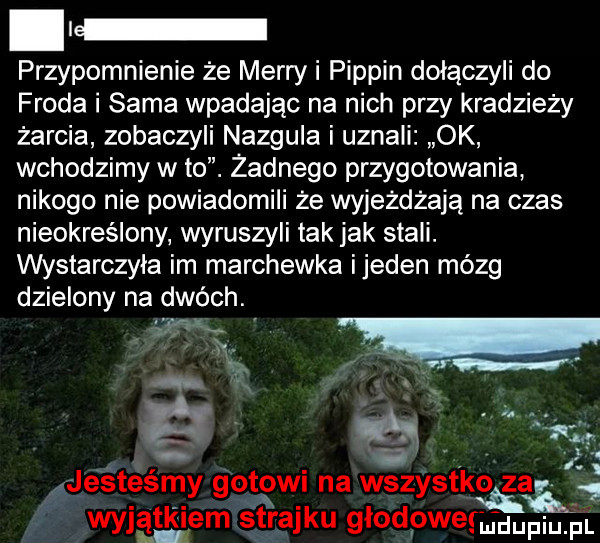 przypomnienie że marry i pippin dołączyli do froda i sama wpadając na nich przy kradzieży żarcia zobaczyli nazgula i uznali ok wchodzimy w to. żadnego przygotowania nikogo nie powiadomili że wyjeżdżają na czas nieokreślony wyruszyli tak jak stali. wystarczyla im marchewka ijeden mózg dzielony na dwóch. elf. abakankami jesteśmy gotowi na wszystko za wyjątkiem strajku glodowemdupm. f