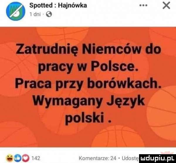 l zatrudnię niemców do pracy w polsce. praca przy borówkach. wymagany język polski