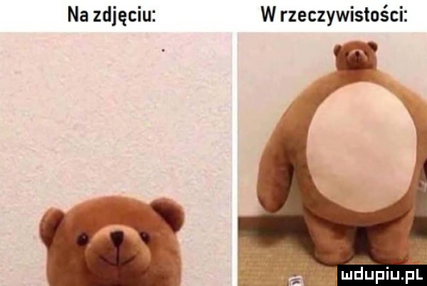 na zdjęciu w rzeczywistości