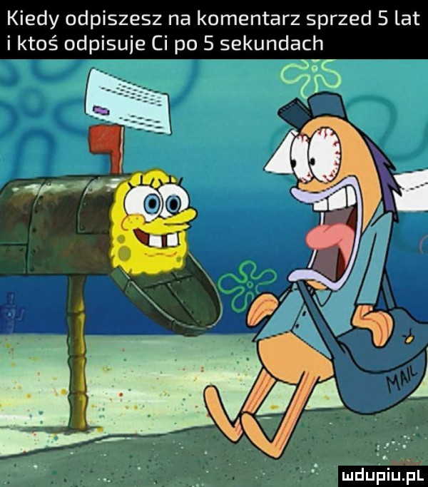 kiedy odpiszesz na komentarz sprzed scat i ktoś odpisuje ci po   sekundach mdupiuj il