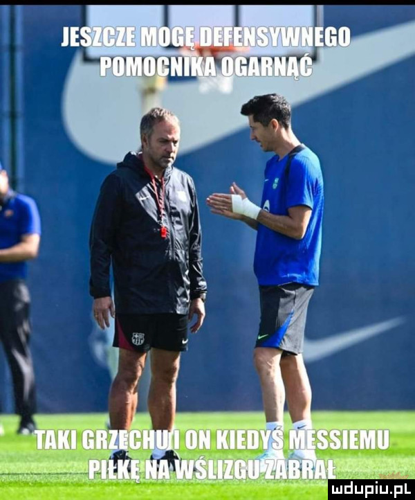 iiiiii lub  ii iiieii i ii i e i lł