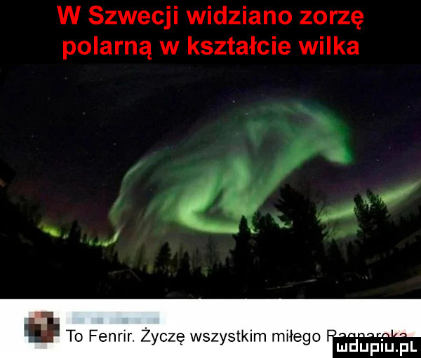 w szwecji widziano zorzę polarną w kształcie wilka i to fenrlr. zoczę wszystkim miłego mhupihpl