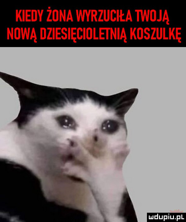 mev żona wvnzucm twoją nowądziesięeiolei niąkuszulkę ol