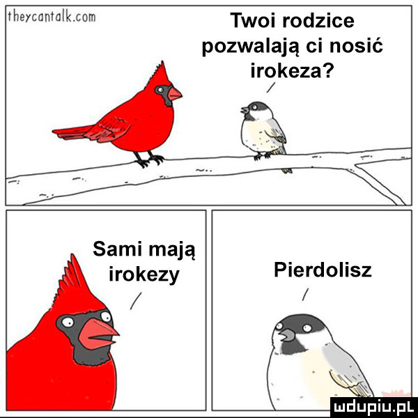 thtycumulkmm twoi rodzice pozwalają ci nosić irokeza sami mają irokezy pierdolisz xxl mdﬁpiupl