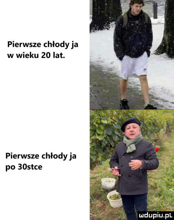 pierwsze chłody ja w wieku    lat. pierwsze chłody ja po    tee