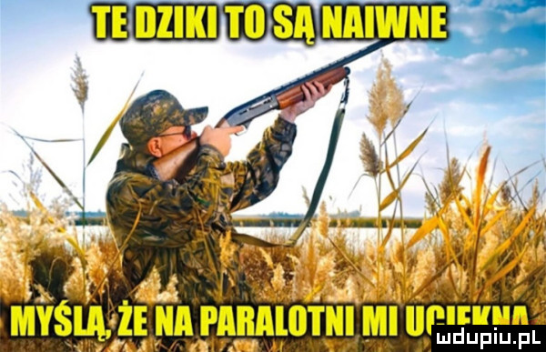 i pltuun ludupiu. pl
