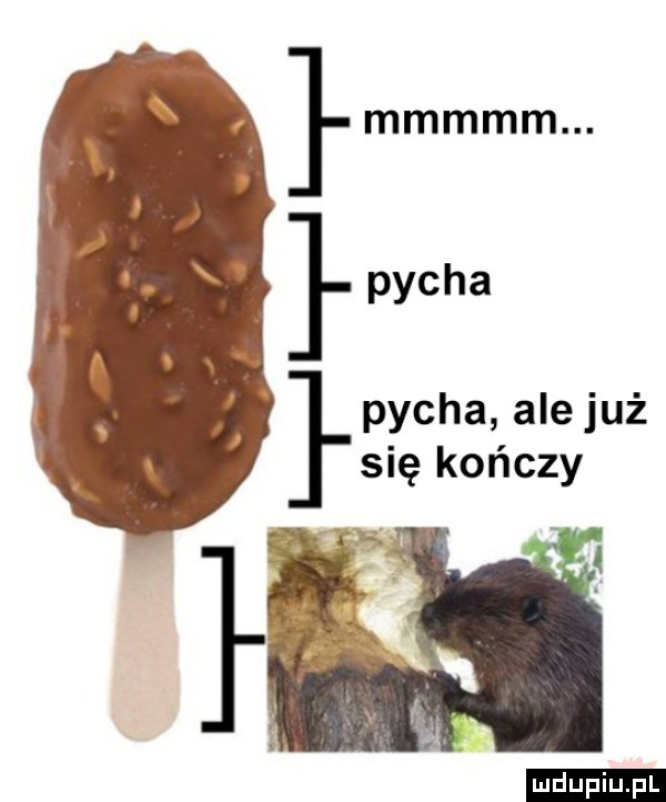 pycha pycha amjuż się kończy