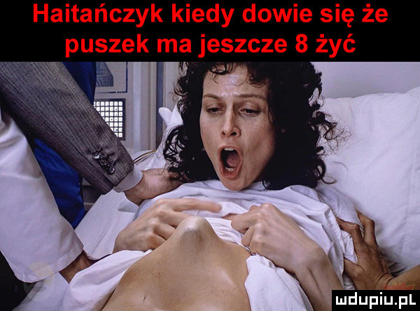 haitańczyk kiedy dowie się że puszek mą jeszcze   żyć
