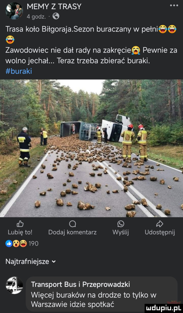 memy z trasy   godz. e trasa koło biłgorajasezon buraczany w pełni ś ś b zawodowiec nie dał rady na zakręcien pewnie za wolno jechał. teraz trzeba zbierać buraki. buraki lubię to dodaj komentarz wyślij udostępnij. p     najtrafniejsze v transport bus i przeprowadzki więcej buraków na drodze to tylko w warszawie idzie spotkać udupiu pl