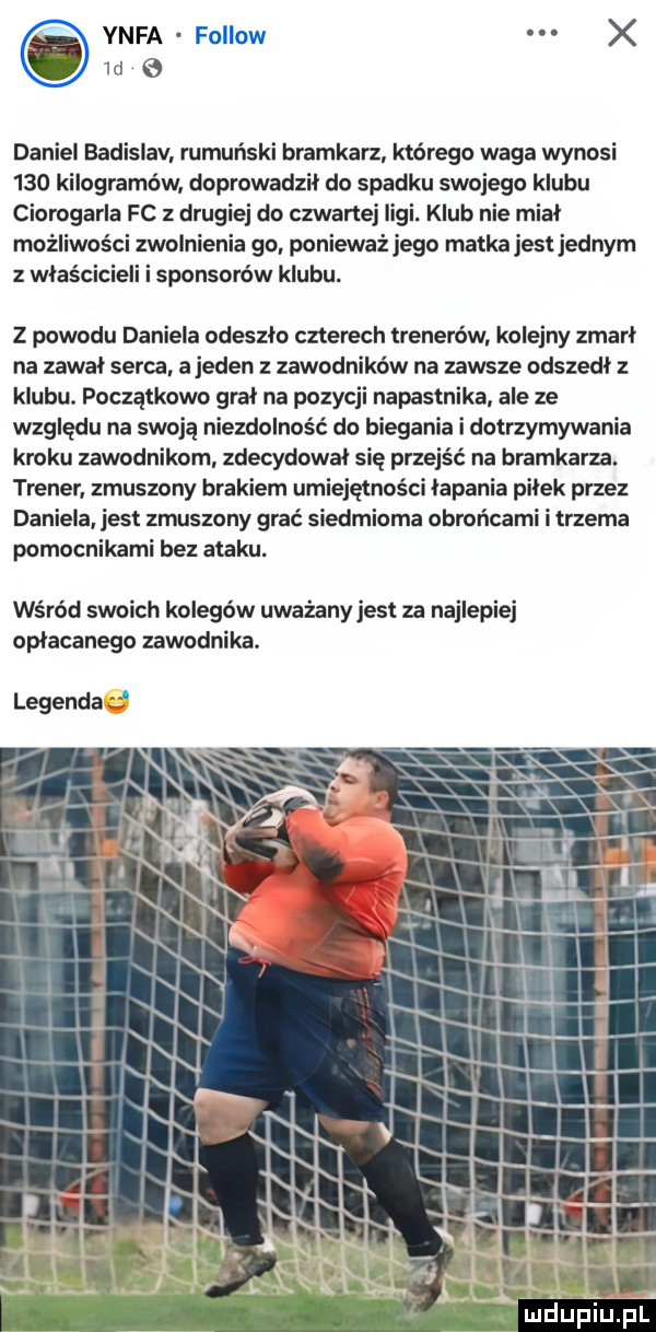 vnfa fellow x  d   daniel badislav rumuński bramkarz. którego waga wynosi     kilogramów. doprowadził do spadku swojego klubu ciorogarla fc z drugiej do czwartej ii. klub nie miał możliwości zwolnienia go ponieważ jego matka jestjednym właścicieli i sponsorów klubu. z powodu daniela odeszło czterech trenerów. kolejny zmarl na zawal serca ajeden zawodników na zawsze odszedł z klubu. początkowo grał na pozycji napastnika. ale ze względu na swoją niezdolność do biegania i dotrzymywania kroku zawodnikom zdecydował się przejść na bramkarza. trener zmuszony brakiem umiejętności łapania pilek przez daniela jest zmuszony grać siedmioma obrońcami i trzema pomocnikami bez ataku. wśród swoich kolegów uważany jest za najlepiej opłacanego zawodnika. legenda