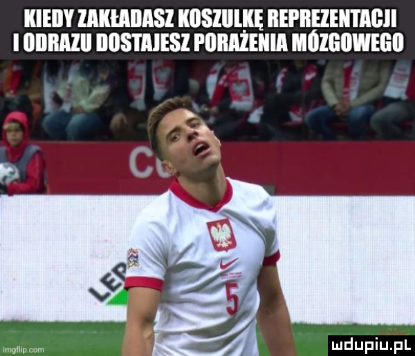 kieiiy lakłailasl kbsiiilke reprezentacji i obbmii iiiis i aiesz i llllllleiiill mózgowegii