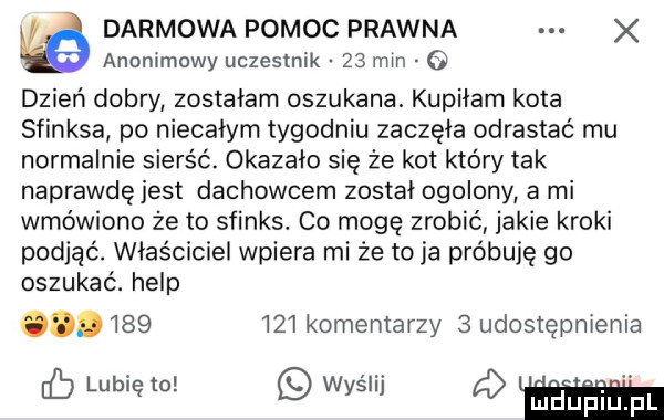 anonimowy uczestnik    min o darmowa pomoc prawna dzień dobry zostałam oszukana. kupiłam kota sfinksa po niecałym tygodniu zaczęła odrastać mu normalnie sierść. okazało się że kot który tak naprawdęjest dachowcem został ogolony a mi wmówiono że to sfinks. co mogę zrobić jakie kroki podjąć. właściciel wpiera mi że toja próbuję go oszukać. help.         komentarzy   udostępnienia eb lubię to wyślij ą ludupiu. pl