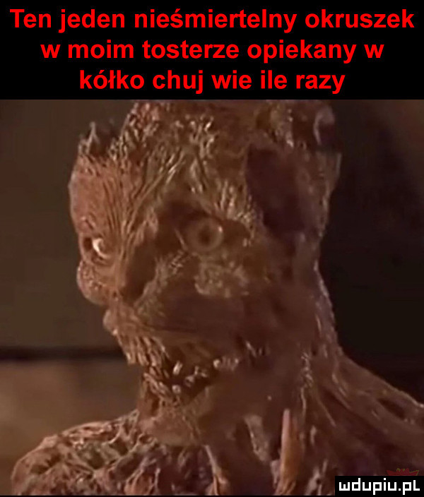 ten jeden nieśmiertelny okruszek w moim tosterze opiekany w kółko chuj wie ile razy