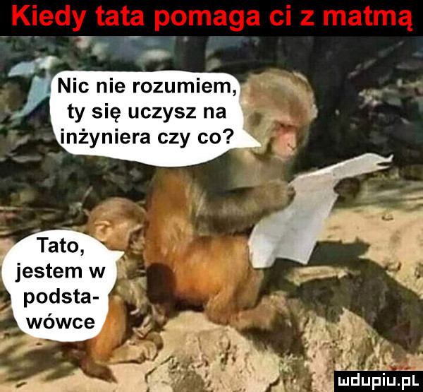 ty się uczysz na inżyniera czy co abo jestem w pomsta ludupiu. pl