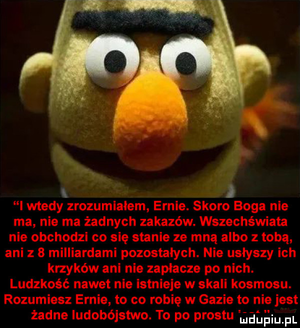 Obrazek