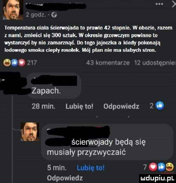 iompuatura aula emade tu prawie    stopniu. w meo. razem   nami. zmieści się     sztuk wohusie   mm powinno tn wystwyć by nie emki douay jarema a kiedy pokonają loda eur. sum u epły ma mój plan nie m slabych sum. q.  w ax mnmnlmm w xldoslępmu zapach.   min. lunięto odpowiedz  . ścierwojady będą się musiały przyzwyczaić  min. luhiqio  .   odpowiedz