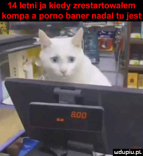 r   wdupiu pl