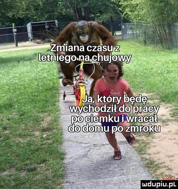 Obrazek