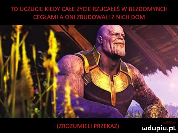 Obrazek