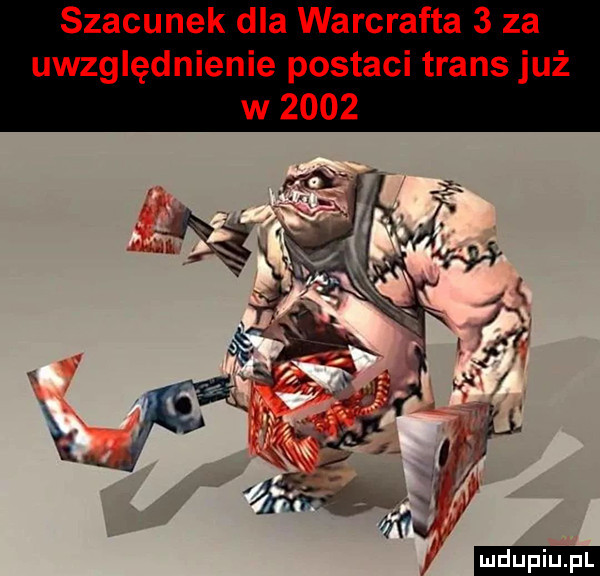 szacunek dla warcrafta   za uwzględnienie postaci trans już
