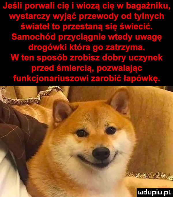 Obrazek