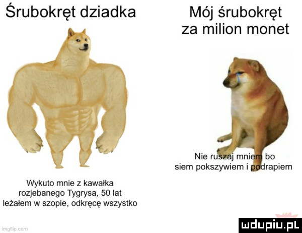 śrubokręt dziadka o. j wykulo mme   kawalka mzjebanega tygrysa.    ici lizałem w szopie. odkręcę wszystko mój śrubokręt za milion monet z nie uś mm snem pokszywlem i