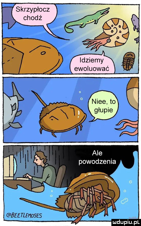skrzy płacz