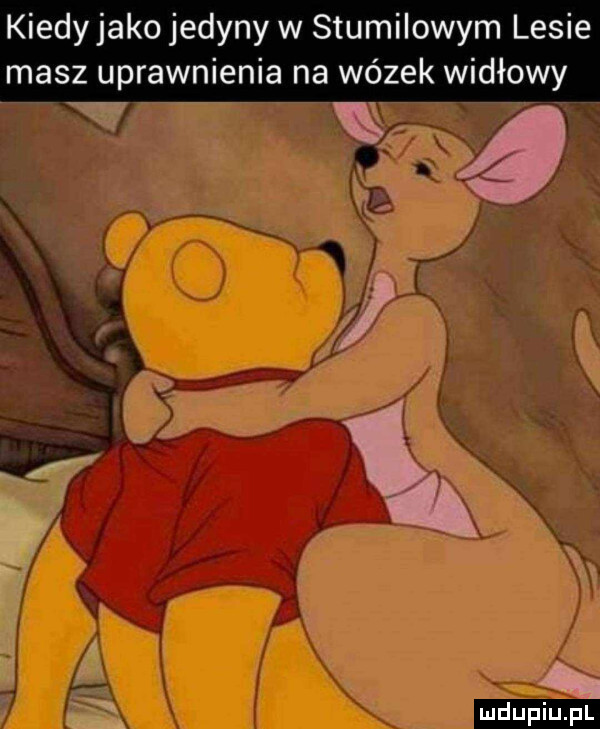 kiedyjako jedyny w stumilowym lesie masz uprawnienia na wazek widłowy ludu iu. l