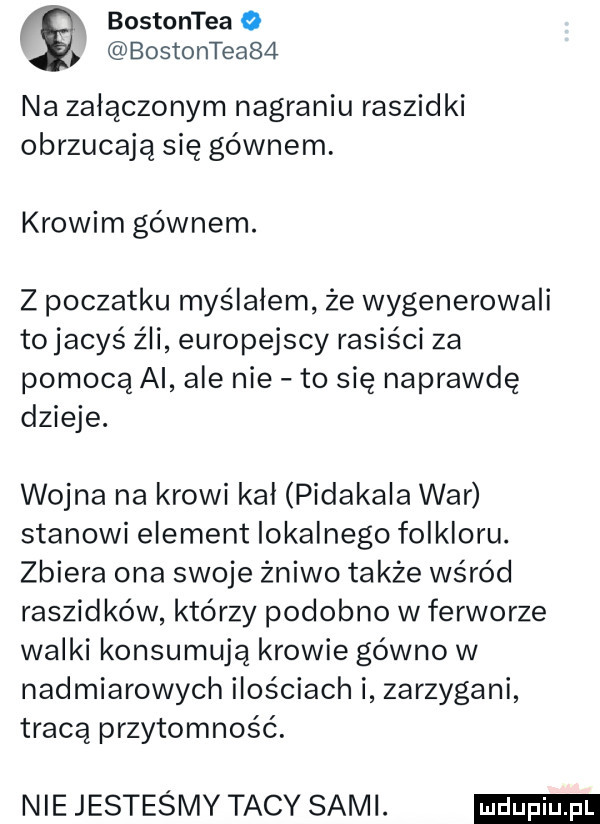 bostontea o bostontea   na załączonym nagraniu raszidki obrzucają się gównem. krowim gównem. z poczatku myślałem że wygenerowali tojacys źli europejscy rasiści za pomocą ai ale nie to się naprawdę dzieje. wojna na krowi kał pidakala war stanowi element lokalnego folkloru. zbiera ona swoje żniwo także wśród raszidków którzy podobno w ferworze walki konsumują krowie gówno w nadmiarowych ilościach i zarzygani tracą przytomność. nie jesteśmy tacy sami