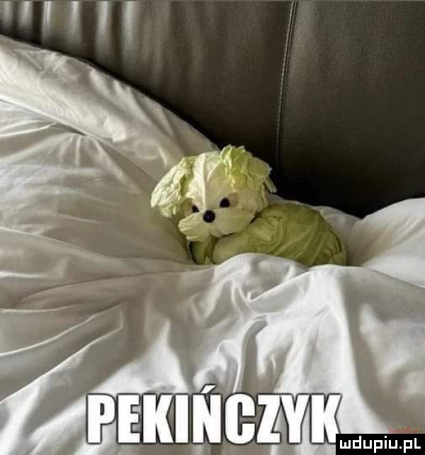 Obrazek