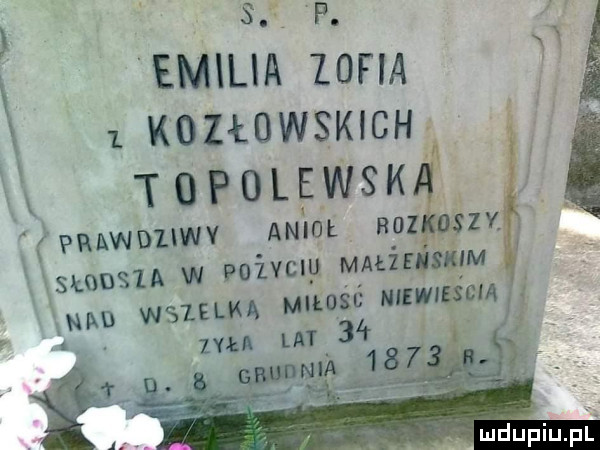 p. abakankami emilia ldfia   kouowsmcu topolewsk. vnawxmwv anioł noz siv sumsu w pulvciu marze mm mm wszelka ugość nuwuzśm nu l