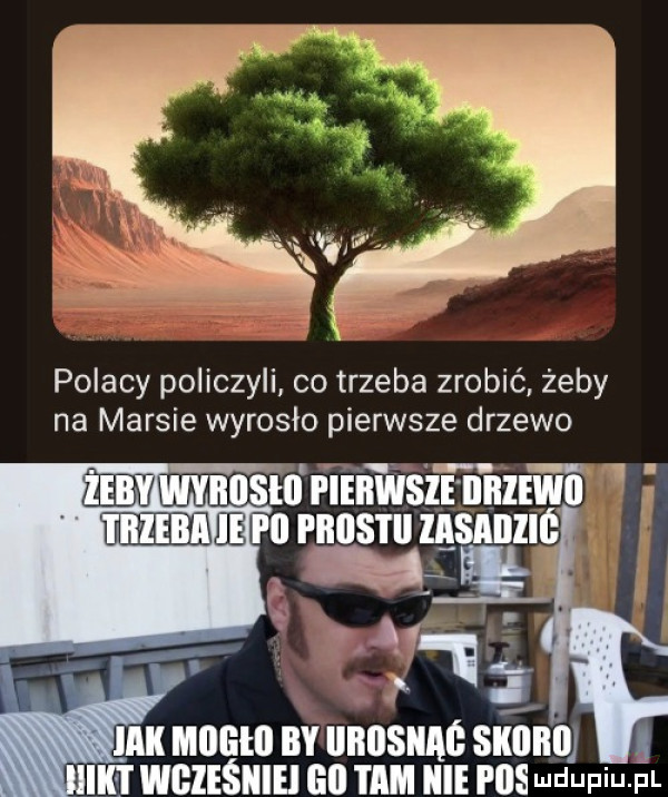 polacy policzyli co trzeba zrobić żeby na marsie wyrosło pierwsze drzewo ak mﬂﬂtﬂ by llllllsllae sllﬂllll ilﬂ wgiesiiiei gi i mii ibl i ihs ndupiu pl